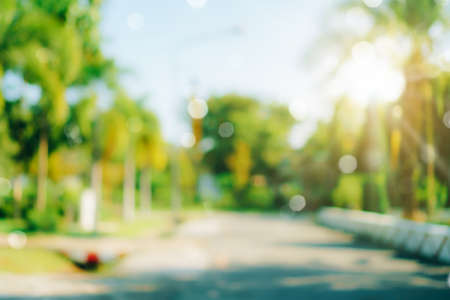 Blur nature bokeh green park by beach and tropical coconut trees in sunset time.の写真素材