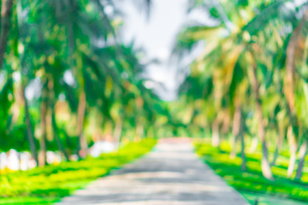 Blur nature bokeh green park by beach and tropical coconut trees in sunset time.の写真素材