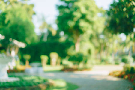 Blur nature bokeh green park by beach and tropical coconut trees in sunset time.の写真素材