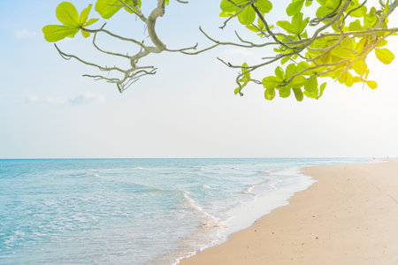 Tropical nature clean beach and white sand in summer with palm tree leaf sun light blue sky and...