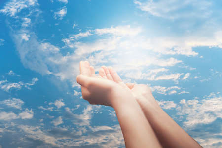 Woman hands place together like praying in front of nature green bokeh and blue sky  background.の写真素材