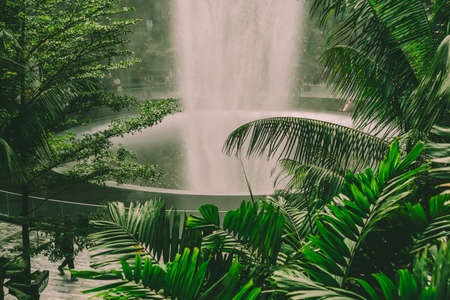 Singapore - Sep 22, 2019: Singapore%u2019s Changi Airport The centrepiece of the unveiled Jewel is the world%u2019s tallest indoor waterfall tropical indoor forest.のeditorial素材