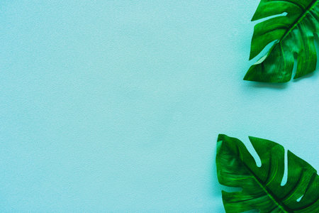 Top view of green nature tropical leaf on pastel color vintage style tone abstract background with...