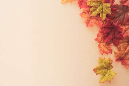 Top view of autumn maple leaf on yellow pastel vintage style tone abstract background with copyspace.の写真素材