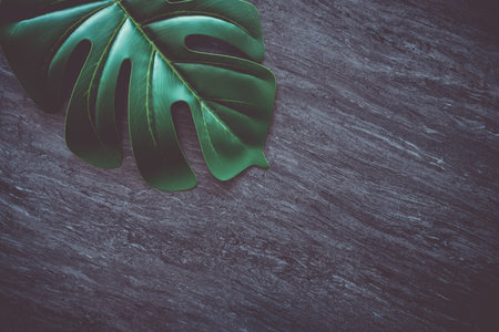 Top view of dark grey black tone marble texture abstract background with green natural leaf as frame...