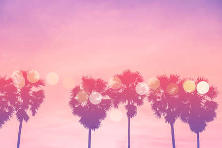 Tropical palm coconut trees on sunset sky flare and bokeh nature colorful fun background.の写真素材
