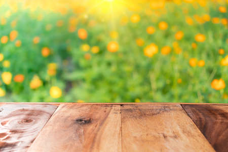 Selective focus of empty old wood on blur nature flowers field with bokeh abstract background.の写真素材