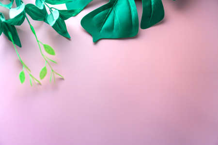 Tropical nature clean beach and white sand in summer with palm tree leaf sun light blue sky and bokeh abstract  background.の写真素材