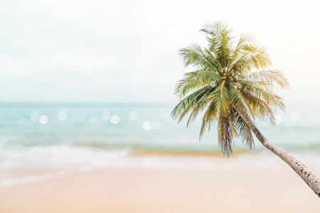Tropical nature clean beach and white sand in summer with palm tree leaf sun light blue sky and...