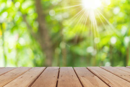Selective focus of empty old wood on blur nature blur park with bokeh abstract background.の写真素材