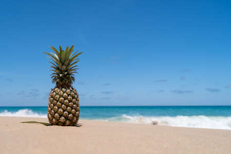Pineapple on sand with sea water splash on blue sky summer concept background.の写真素材