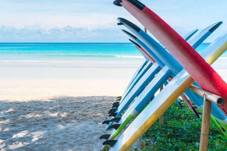 Many surfboards for rent  at summer beach with sunlight  blue sky background.の写真素材