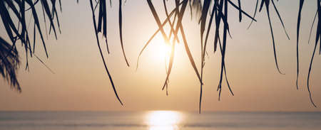 Tropical nature clean beach sunset sky time with sun light cover banner background.の写真素材