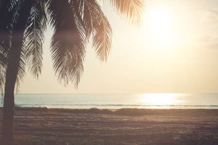 Tropical nature clean beach sunset sky time with sun light background.の写真素材