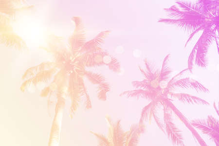 Tropical palm coconut trees on sunset sky flare and bokeh nature colorful copy space summer concept background.の写真素材