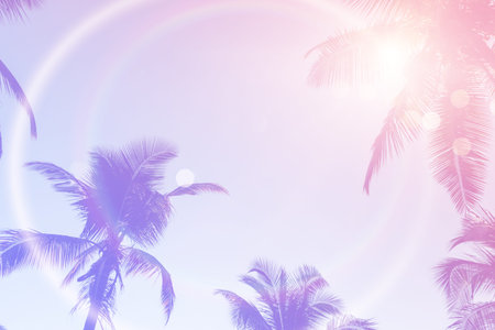 Tropical palm coconut trees on sunset sky flare and bokeh nature colorful copy space summer concept...