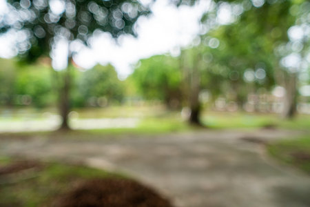 Green toned blurred nature bokeh public park with several trees backgound.の写真素材