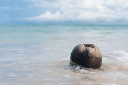 Tropical nature clean beach white sand and coconut in summer with sun light blue sky.の写真素材
