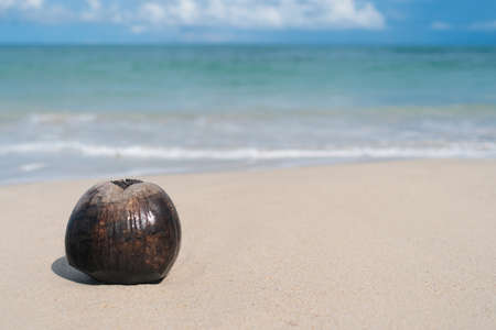 Tropical nature clean beach white sand and coconut in summer with sun light blue sky.の写真素材