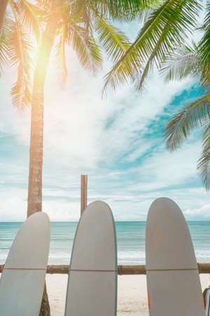 Many surfboards for rent  at summer beach with sunlight  blue sky background.の写真素材
