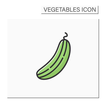 Cucumber color iconのイラスト素材