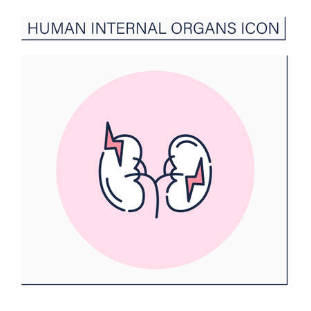 Kidney color iconのイラスト素材