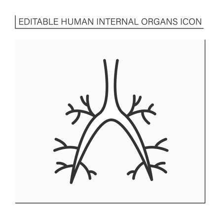 Bronchi line iconのイラスト素材