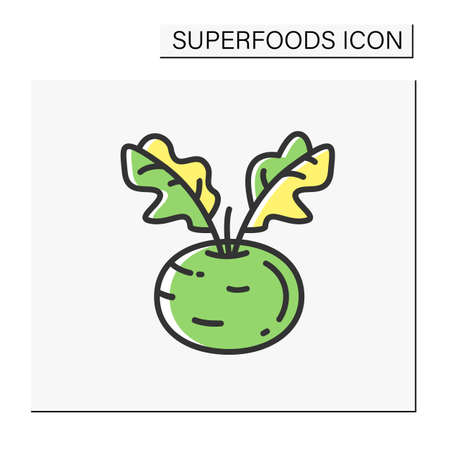 Kohlrabi color iconのイラスト素材