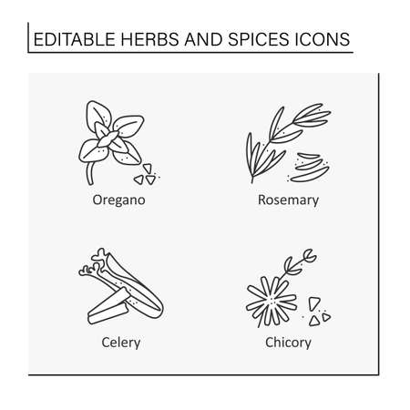 Herbs and spices line icons setのイラスト素材
