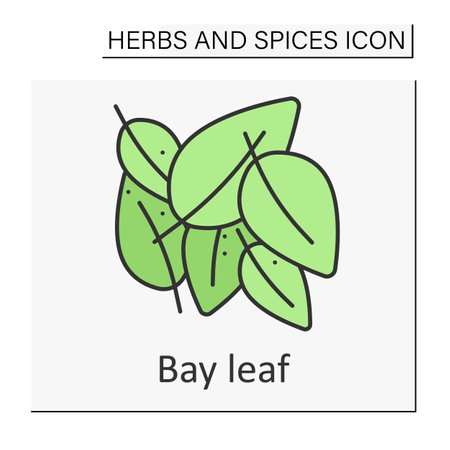 Bay leaf color iconのイラスト素材