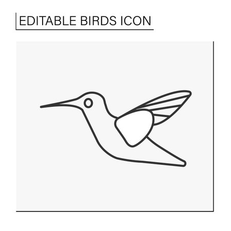 Hummingbird line iconのイラスト素材