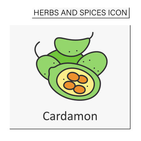 Cardamon color iconのイラスト素材