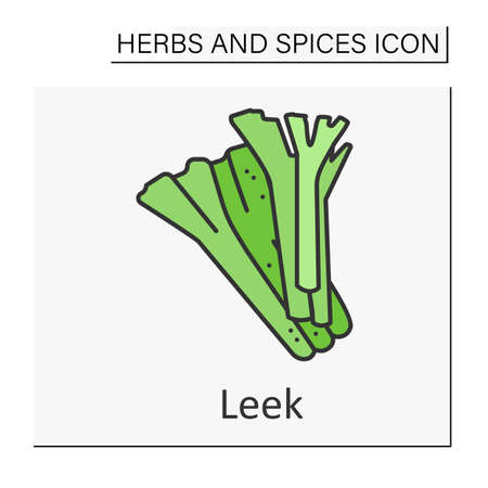 Leek color iconのイラスト素材