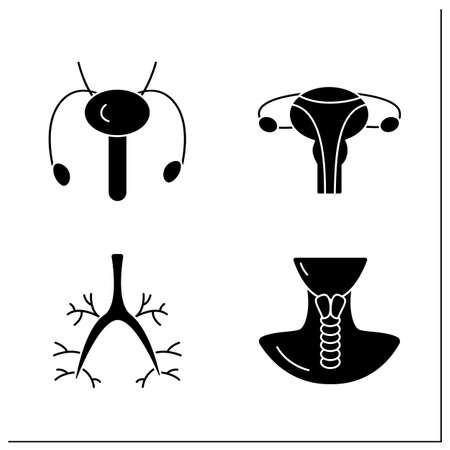 Human internal organs glyph icons setのイラスト素材