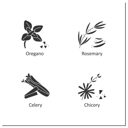 Herbs and spices glyph icons setのイラスト素材