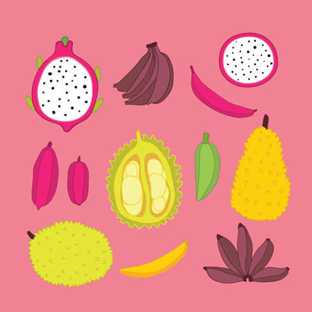Exotic tropical Food fruits collection Jackfruit Banana Dragon fruit Hand drawn colorful design elements on pink background Sketch doodle unique style setのイラスト素材