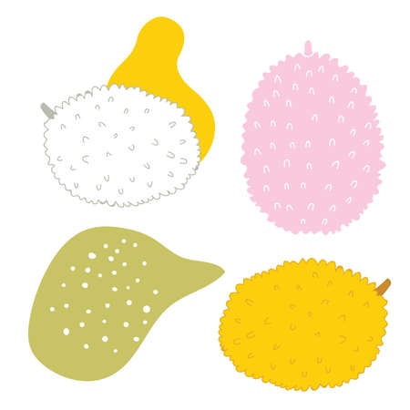 Exotic tropical fruits Jackfuit set Hand drawn sketch doodle design elements with abstract shapes Summer food Healthy lifestyle Vector illustration isolated on white background Unique modern design.のイラスト素材