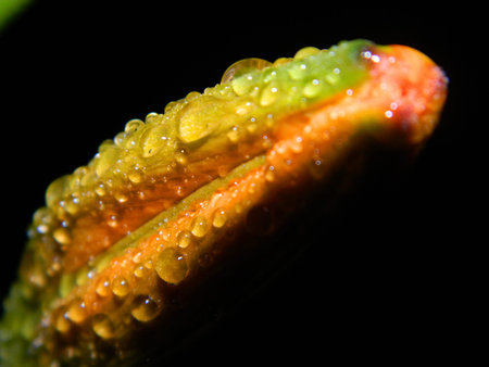 buttonの写真素材