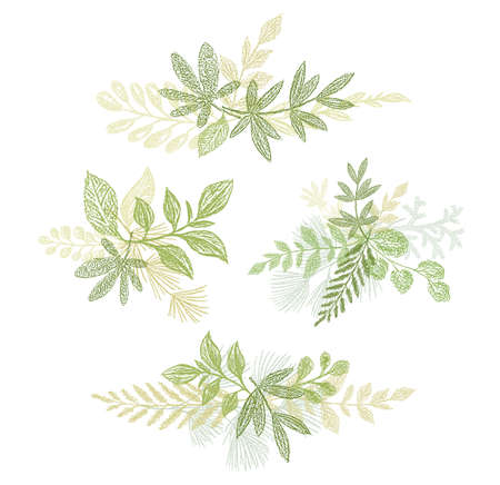 Green bouquets hand drawn composition. Vector greenery branches isolated on white background. Floral decoration elements setのイラスト素材