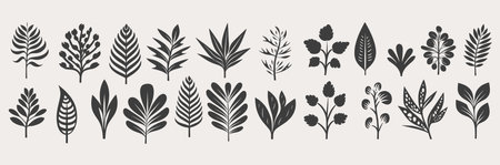 Set of leaves. Hand drawn decorative elements. Vector illustration, natural icons silhouetteのイラスト素材