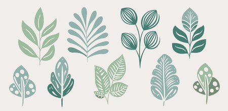 Tropical vector leaves collection, set. Green Vector isolated elements on the white background. leaf silhouettes flat styleのイラスト素材