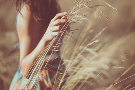 Woman's hand touching the long high dry grassの写真素材