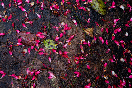 Early spring flower