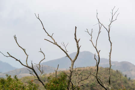 Tianlu mountain natural sceneryの写真素材