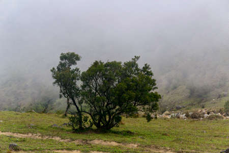 Tianlu mountain natural sceneryの写真素材
