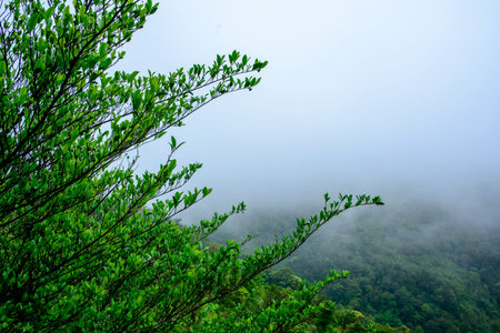 A mountain view