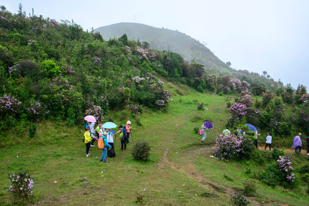 Guangdong Maoming City Tian Hua mountain scenery