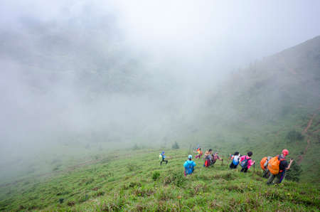 climbers walk on the alpine grassland in heavy fog.のeditorial素材