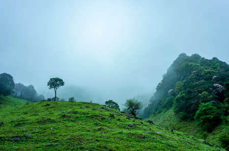 Jilongding mountain peak with dense fogの写真素材