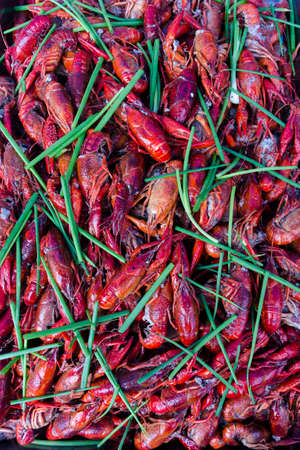 Flavored crayfishの写真素材